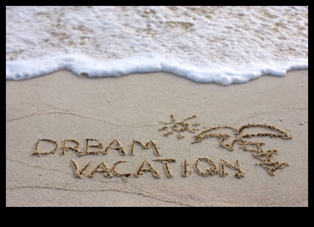 EmbarkEase: Η ουσία του κομψού και χωρίς κόπο προγραμματισμό