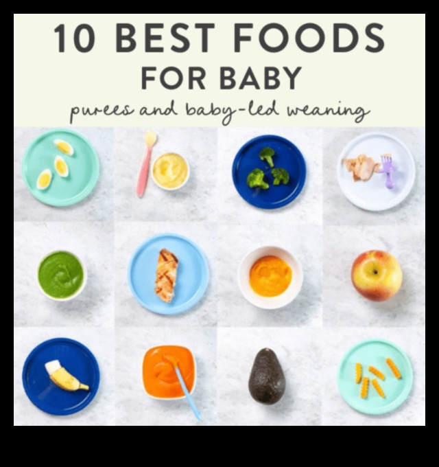 Gentle Gourmand: Navigating Baby's First Foods