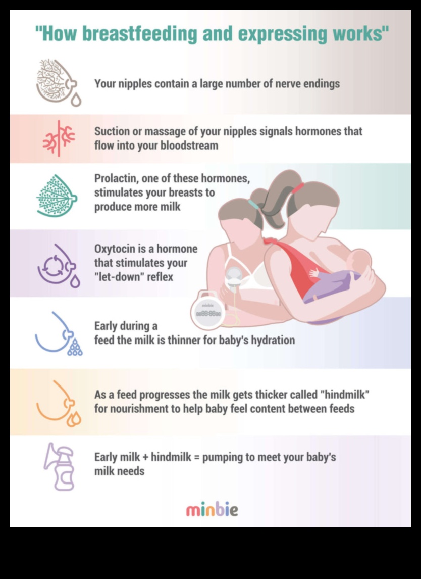 Breastfeeding Bliss: Harmonizing Heart and Milk