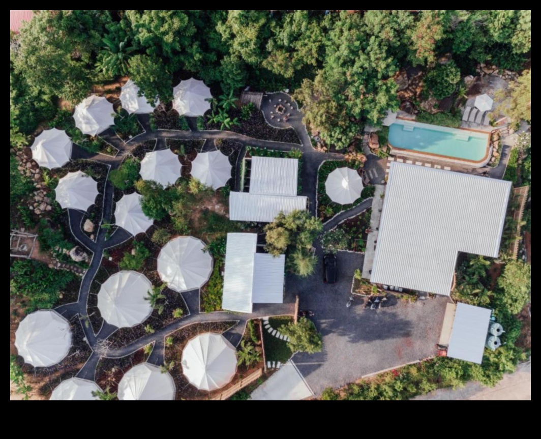 Roost Reverie: Δημιουργώντας την ιδανική φωλιά σας μακριά από το σπίτι