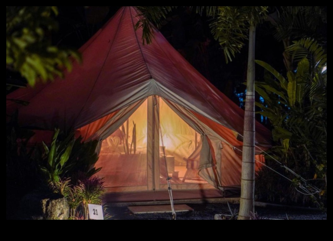 Roost Reverie: Δημιουργώντας την ιδανική φωλιά σας μακριά από το σπίτι