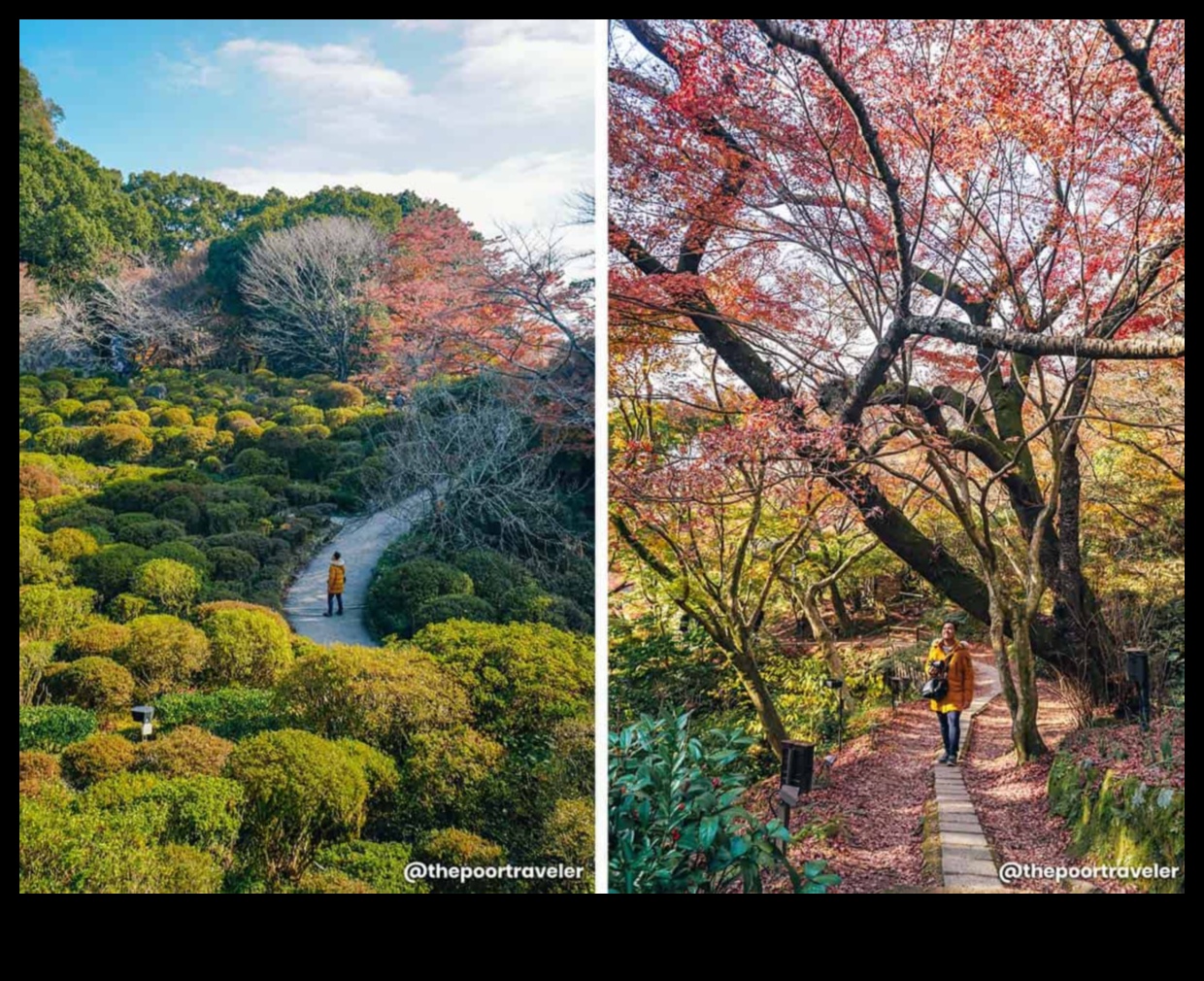 Sightseeing Saga: A Narrative of Breathting Vistas