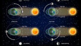 Beyond Earth's Grasp Μια ματιά στον Ουράνιο Χορό των Πλανητών 1 Πέρα από τη Γη: Μια ματιά στις Ουράνιες Τροχές