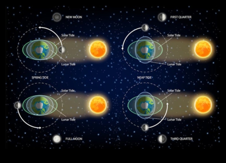 Beyond Earth's Grasp Μια ματιά στον Ουράνιο Χορό των Πλανητών 1 Πέρα από τη Γη: Μια ματιά στις Ουράνιες Τροχές