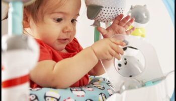 Bouncing Baby Bliss: Entertaining Toys for Happy Play