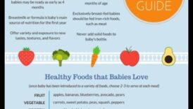 Gentle Gourmand: Navigating Baby's First Foods