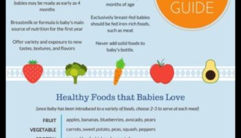 Gentle Gourmand: Navigating Baby's First Foods