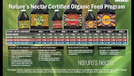 Nature's Nectar: ​​Διατροφικές Επιλογές για Ολιστική Ανάπτυξη του Μωρού