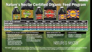 Nature's Nectar: ​​Διατροφικές Επιλογές για Ολιστική Ανάπτυξη του Μωρού