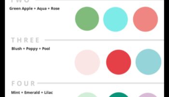 Παιχνιδιάρικη παλέτα: Δώστε στυλ στο φυτώριο σας με χρώμα